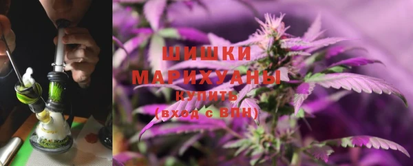 стафф Майский