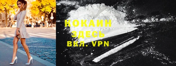 ПСИЛОЦИБИНОВЫЕ ГРИБЫ Абаза
