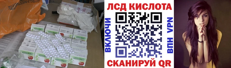 дарнет шоп  Тимашёвск  Лсд 25 экстази кислота 